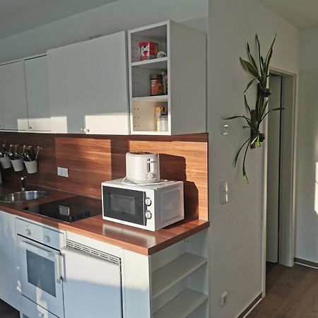 Fewo Ostseeparadies Waldblick 그랄뮈리츠 외부 사진